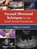 bokomslag Focused Ultrasound Techniques for the Small Animal Practitioner