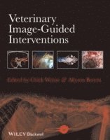 bokomslag Veterinary Image-Guided Interventions