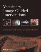 bokomslag Veterinary Image-Guided Interventions