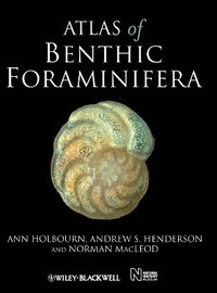 bokomslag Atlas of Benthic Foraminifera