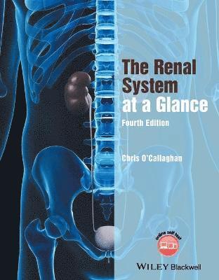 bokomslag The Renal System at a Glance