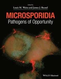 bokomslag Microsporidia