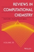 bokomslag Reviews in Computational Chemistry, Volume 28