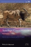 Jakob Bro-Jorgensen, David P. Mallon - Antelope Conservation, Häftad