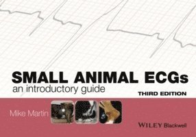 Mike Martin - Small Animal ECGs, Häftad
