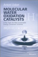 bokomslag Molecular Water Oxidation Catalysis