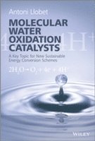 Antoni Llobet - Molecular Water Oxidation Catalysis, Inbunden