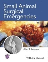 bokomslag Small Animal Surgical Emergencies