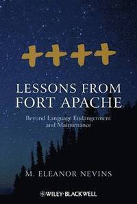 bokomslag Lessons from Fort Apache