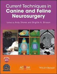 bokomslag Current Techniques in Canine and Feline Neurosurgery