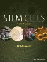 bokomslag Stem Cells