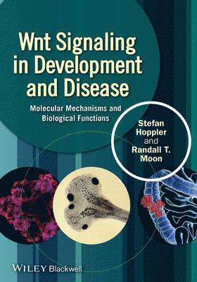 Wnt Signaling in Development and Disease 1