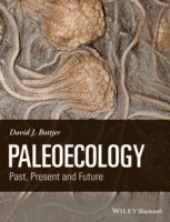 David J. Bottjer - Paleoecology, Häftad