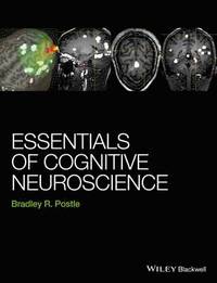 bokomslag Essentials of Cognitive Neuroscience