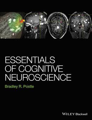 bokomslag Essentials of Cognitive Neuroscience