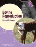 bokomslag Bovine Reproduction