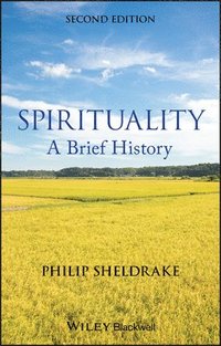 bokomslag Spirituality