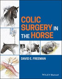 bokomslag Colic Surgery in the Horse