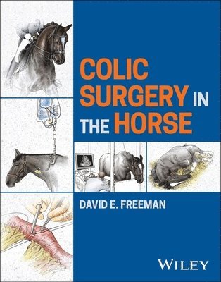 bokomslag Colic Surgery in the Horse