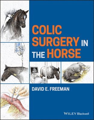 Colic Surgery in the Horse 1