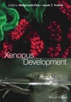 bokomslag Xenopus Development