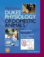 bokomslag Dukes' Physiology of Domestic Animals