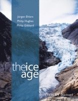 Jürgen Ehlers, Philip Hughes, Philip L. Gibbard - Ice Age, Inbunden