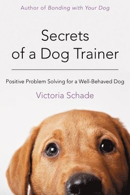 bokomslag Secrets of a Dog Trainer