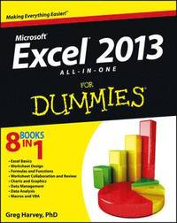 bokomslag Excel 2013 All-in-One for Dummies