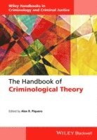 Alex R. Piquero - Handbook of Criminological Theory, Inbunden