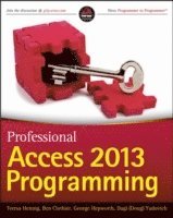 bokomslag Professional Access 2013 Programming