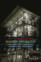 bokomslag Synthetic Natural Gas