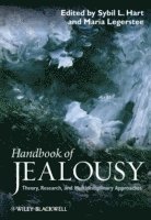 bokomslag Handbook of Jealousy