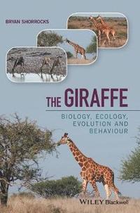 bokomslag The Giraffe