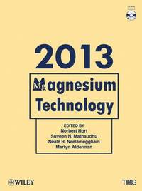 bokomslag Magnesium Technology 2013