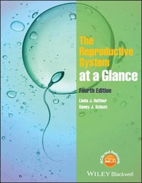 bokomslag The Reproductive System at a Glance