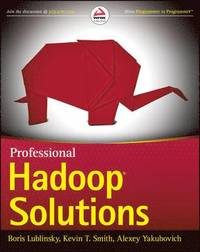bokomslag Professional Hadoop Solutions