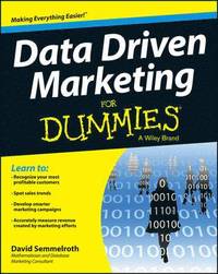 bokomslag Data Driven Marketing for Dummies