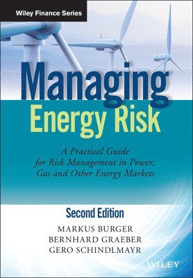 bokomslag Managing Energy Risk