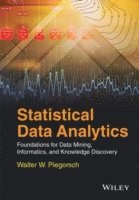 bokomslag Statistical Data Analytics