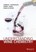 bokomslag Understanding Wine Chemistry