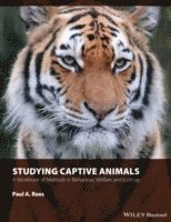bokomslag Studying Captive Animals