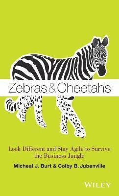 Zebras and Cheetahs
