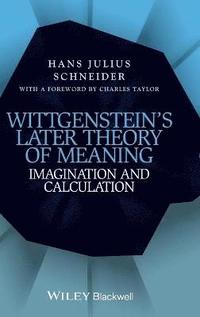 bokomslag Wittgenstein's Later Theory of Meaning