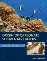 bokomslag Origin of Carbonate Sedimentary Rocks