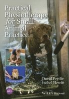 bokomslag Practical Physiotherapy for Small Animal Practice