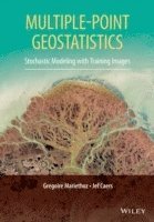 bokomslag Multiple-point Geostatistics