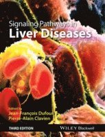 bokomslag Signaling Pathways in Liver Diseases