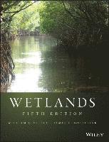 Wetlands 1