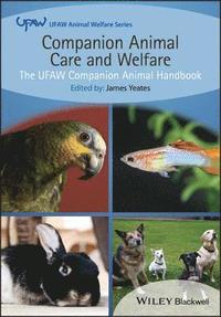 bokomslag Companion Animal Care and Welfare